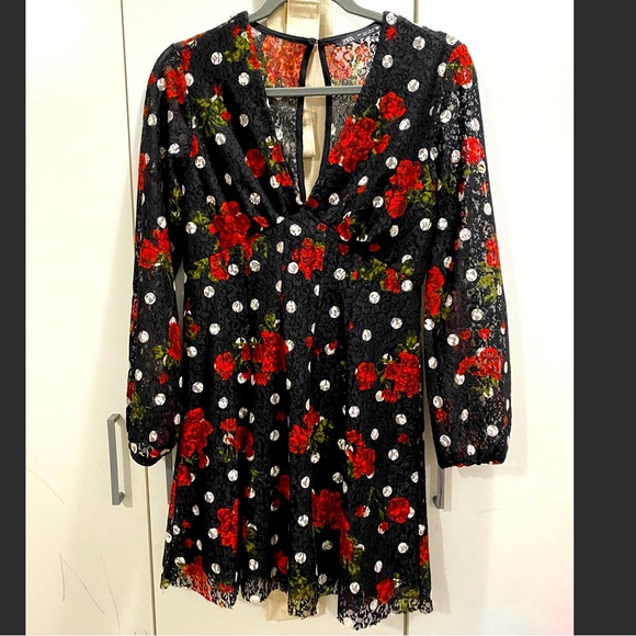 Zara rose and dotted lace dress - Picture 1 of 3